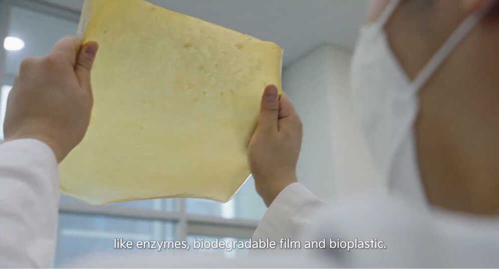 A researcher checking alternative leather made from mycelium