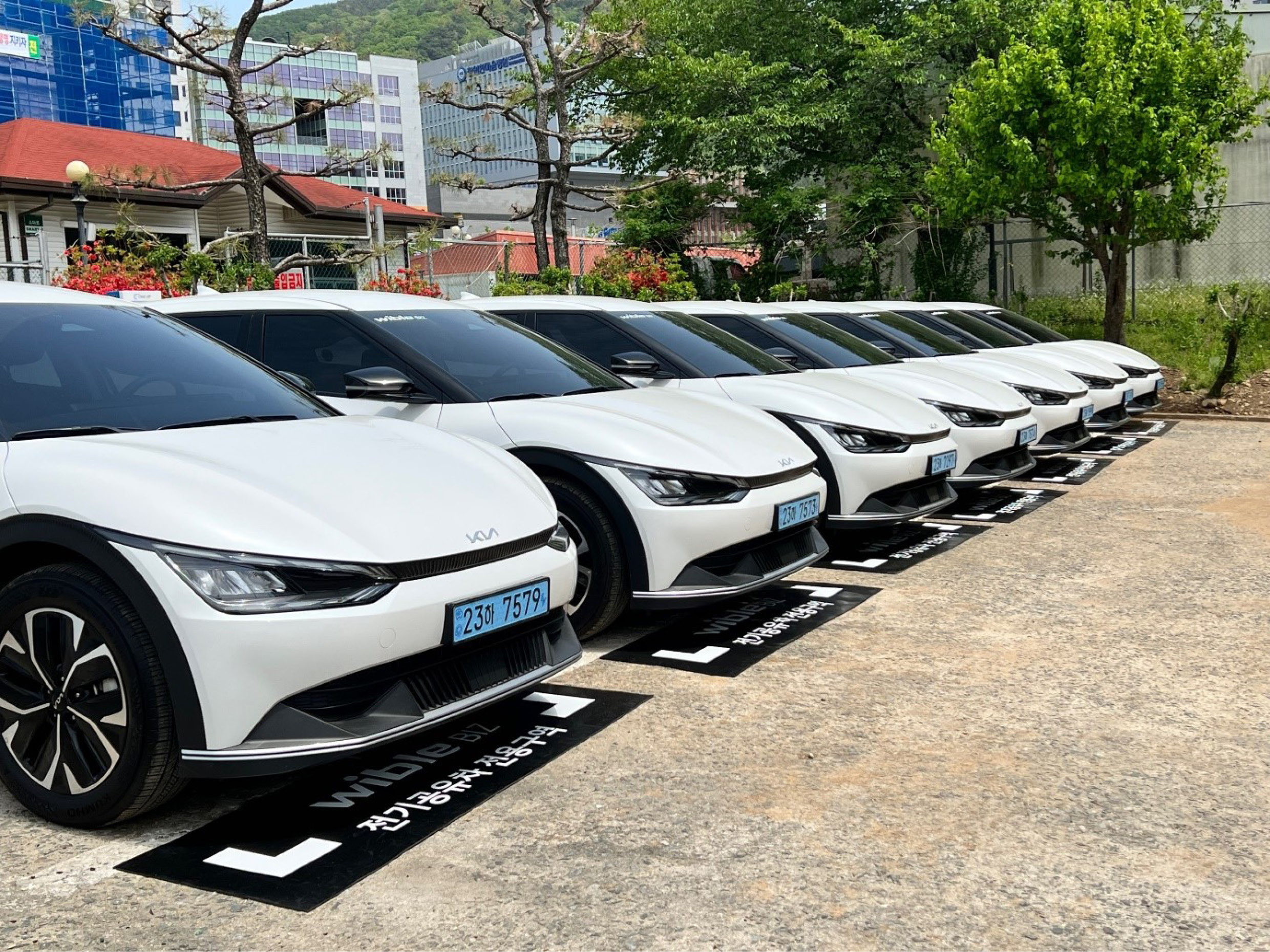 Gyeongsangnam-do Provincial Office implemented Wible Biz service