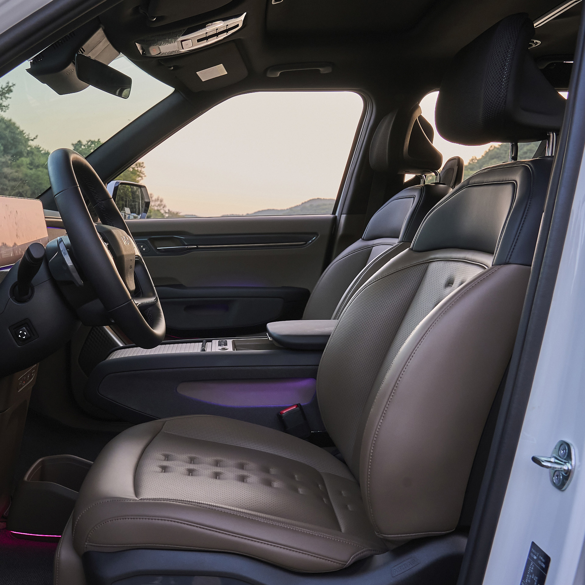EV9 interior view