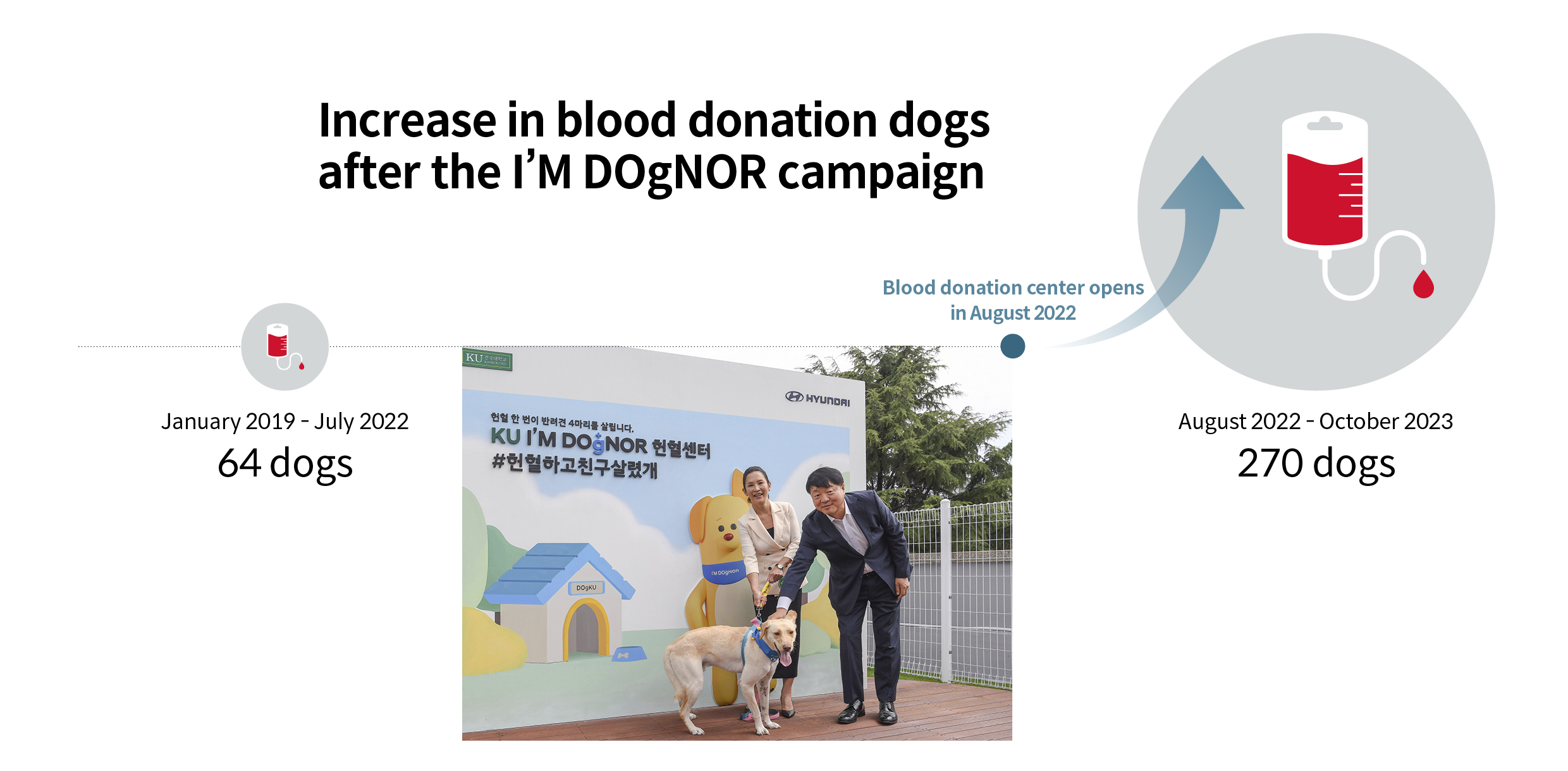 Increase in blood donation dogs after the I’M DOgNOR campaign