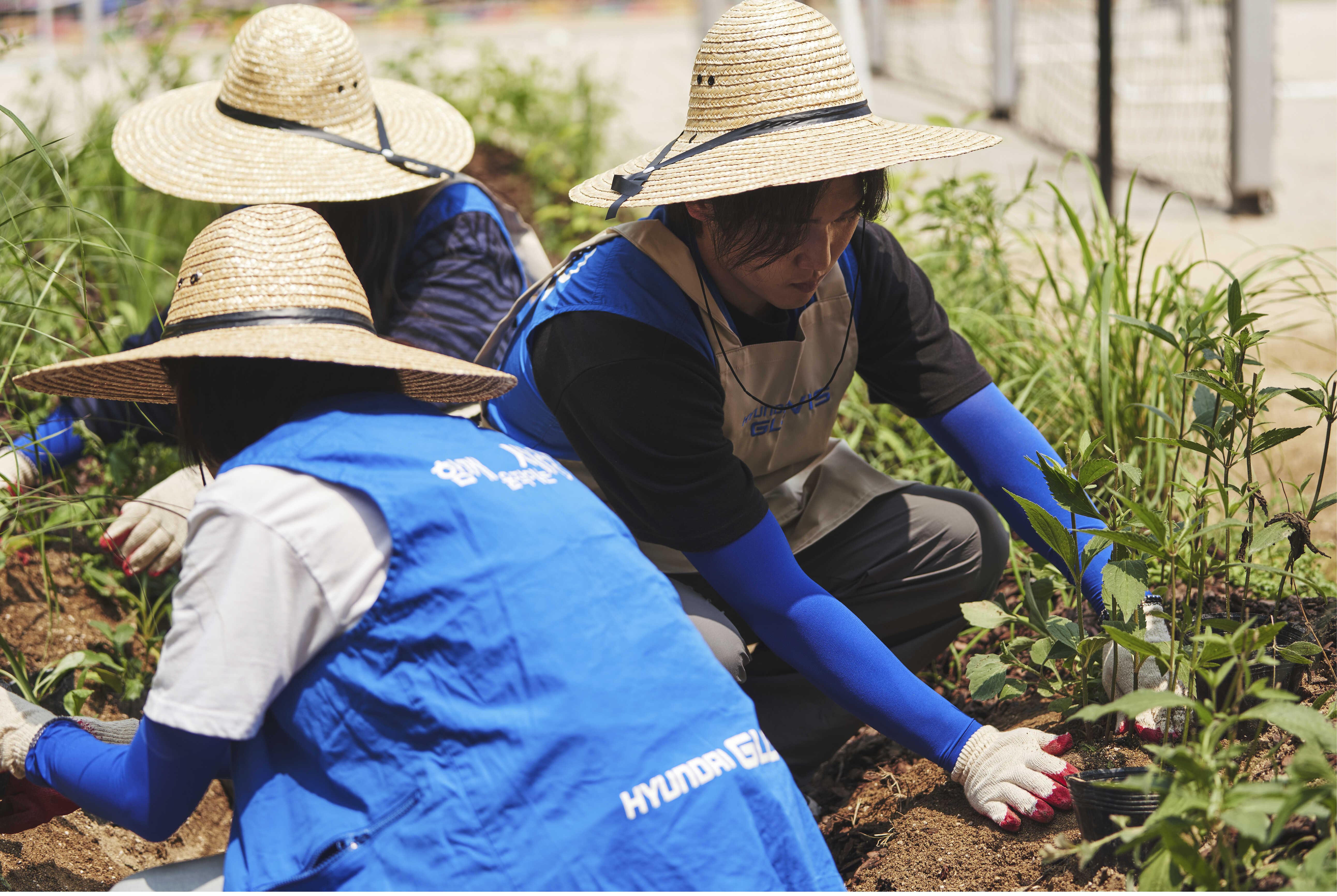 the appearance of people engaged in environmental conservation activities
