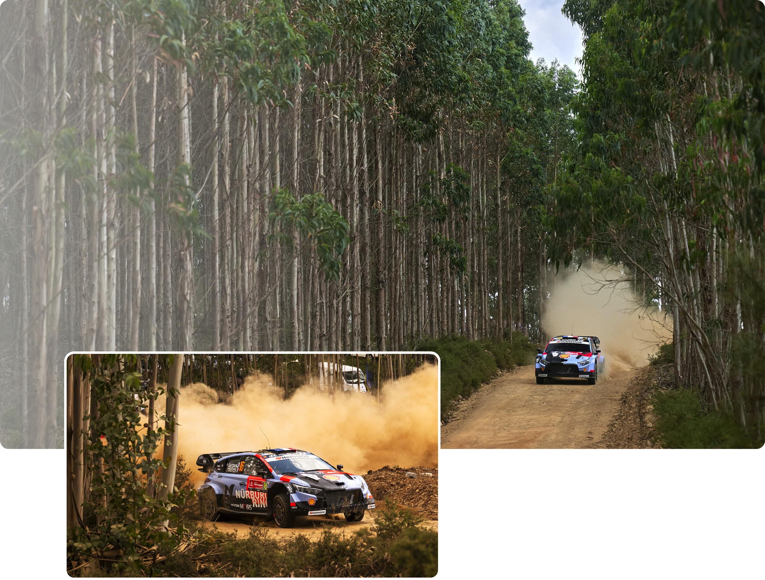 i20 N WRC