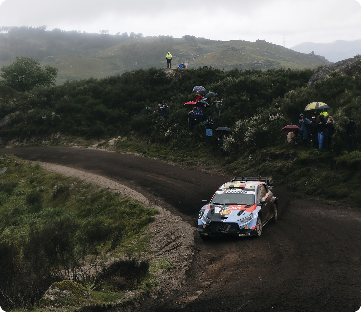 i20 N Rally1