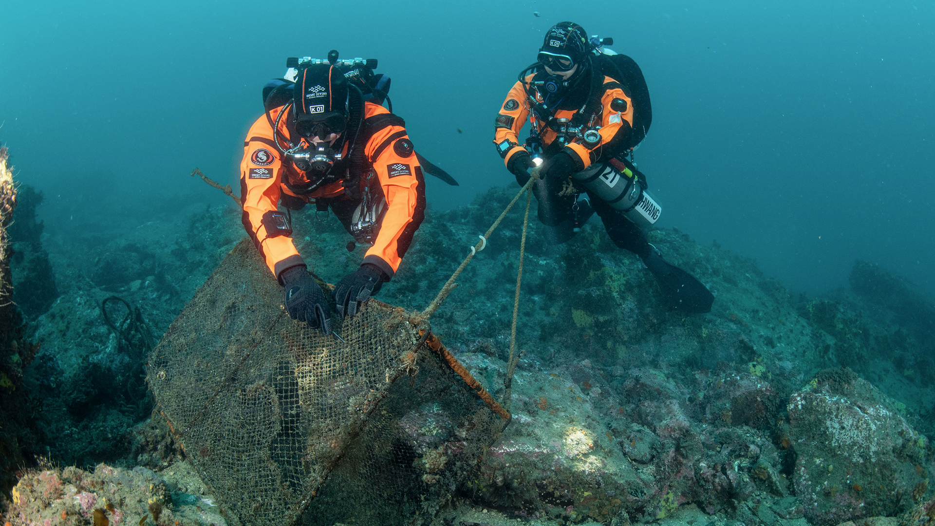 Scuba divers surveying seaweed growth conditions underwater