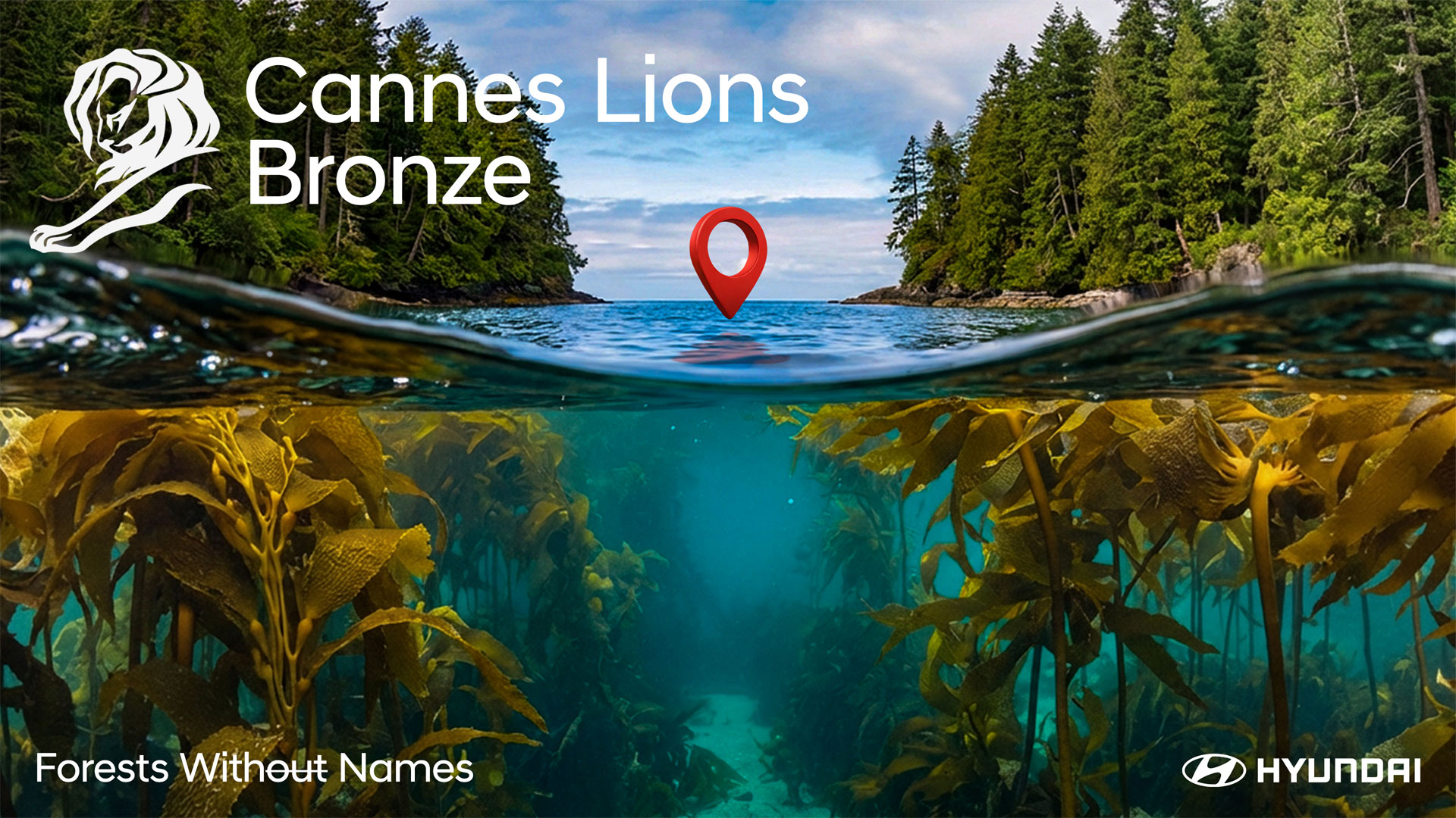 Cannes_Forests Without Names