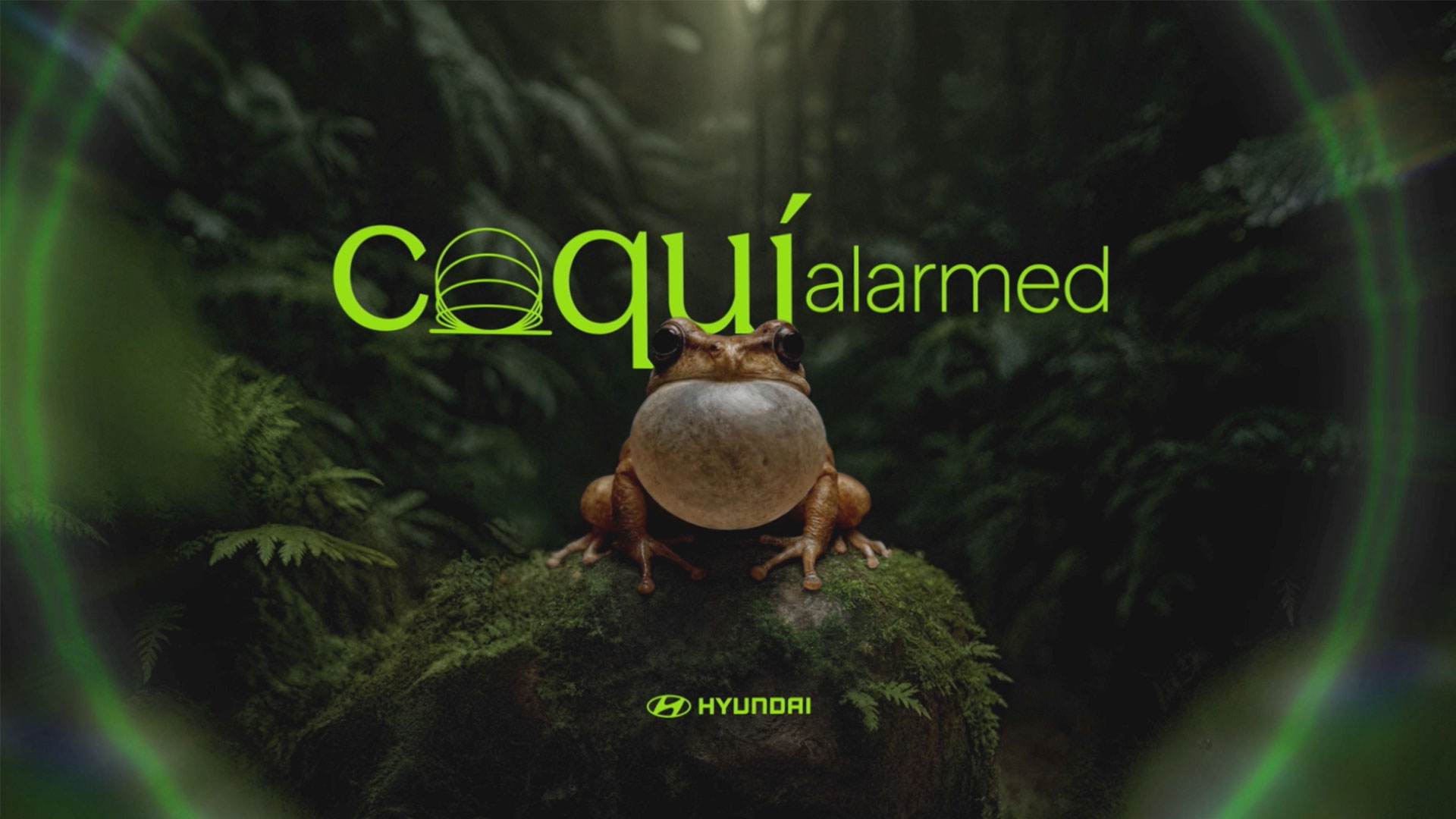 Cannes_Coqui Alarmed