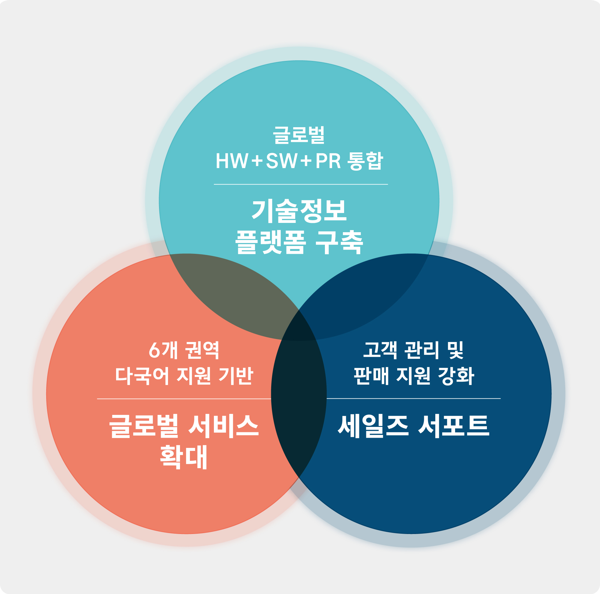 Hyundai Conversion+의 글로벌 추진 방향 : 글로벌 HW + SW + PR 통합 - 기술정보 플랫폼 구축, 6개 권역 다국어 지원 기반 - 글로벌 서비스 확대, 고객 관리 및 판매 지원 강화 - 세일즈 서포트