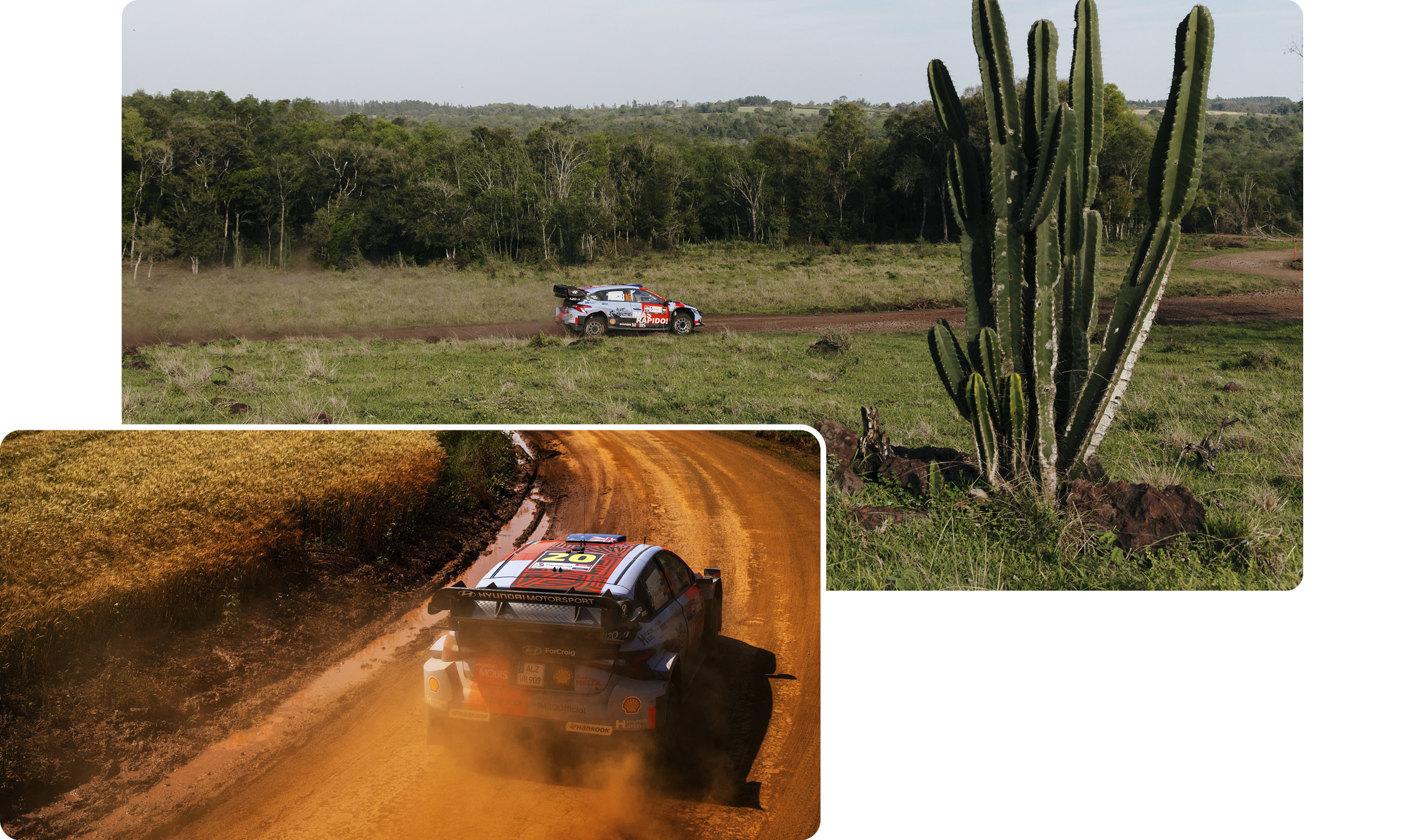 i20 N Rally 1