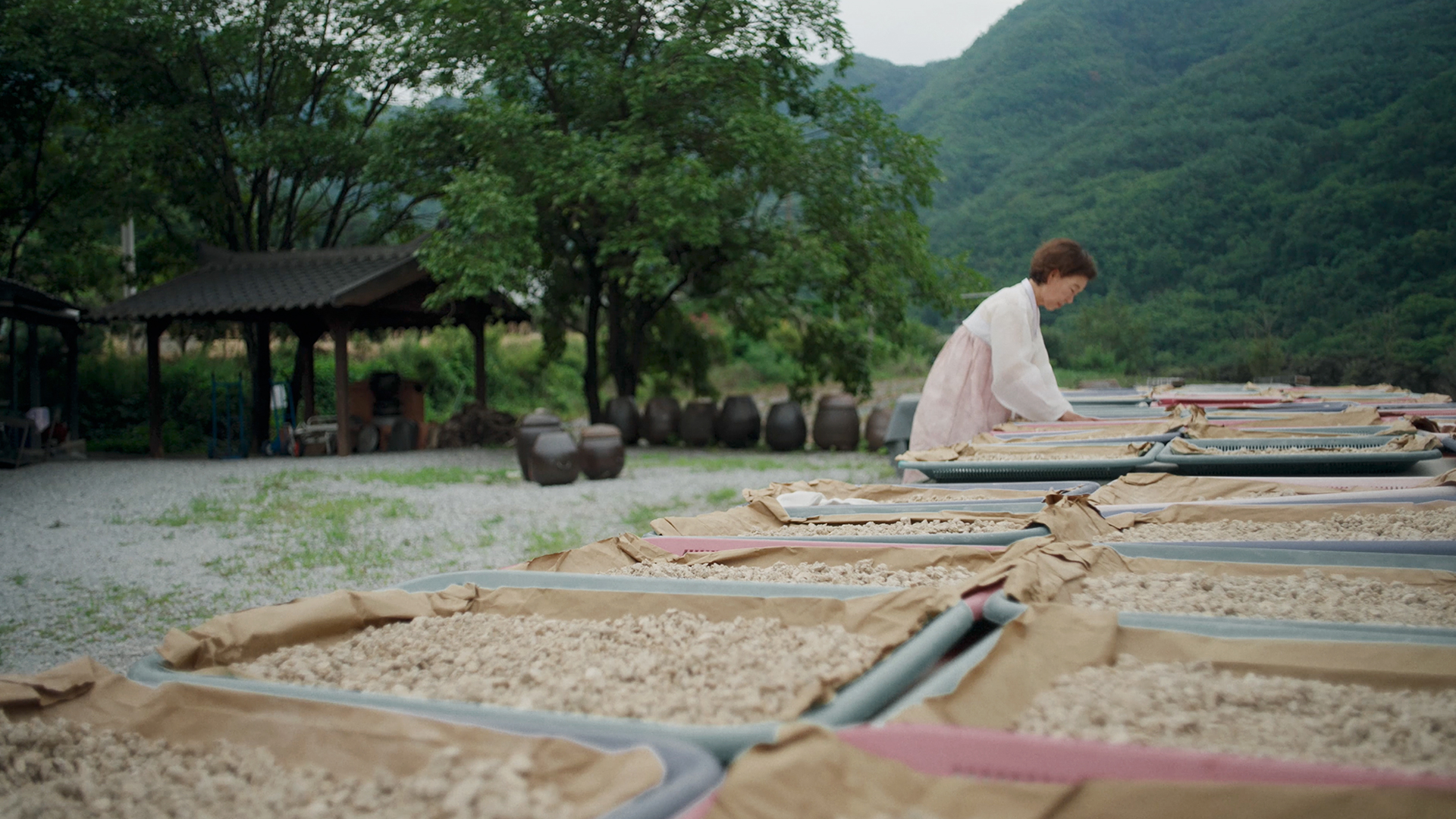 Head housewife Wonjong Lee drying nuruk (fermentation starter) in the sun to brew liquor